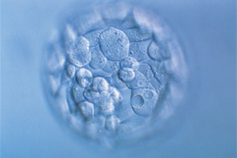 http://shanghai.quanwangkm.com/post/190.html|上海人工试管