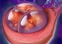 什么时候同房容易上海代怀孕